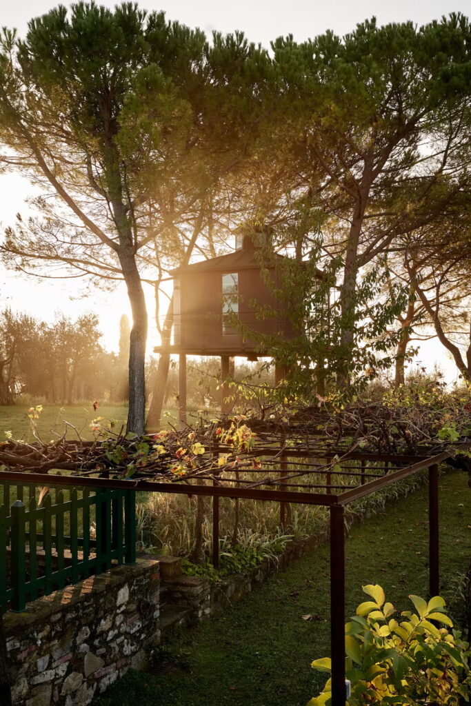 Una casa sull'albero situata in un ampio campo, perfetta per un'esperienza unica nella natura fiorentina.